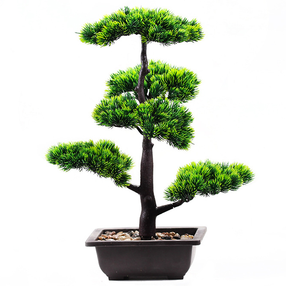 พืชประดิษฐ์ความงาม Pine Faux P - Home Office Word บทวิจารณ์และราคา