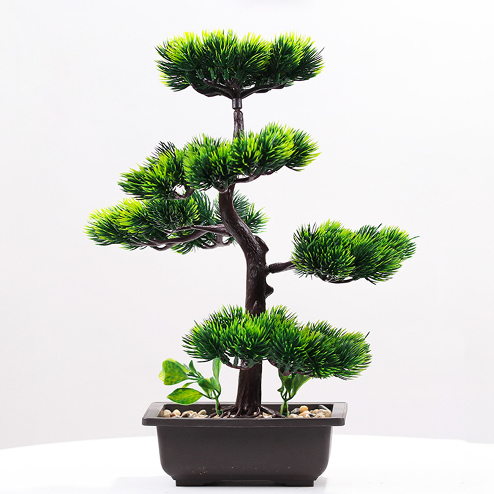 พืชประดิษฐ์ความงาม Pine Faux P - Home Office Word บทวิจารณ์และราคา