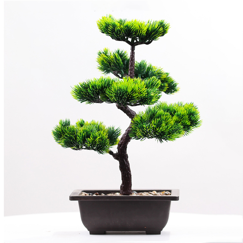 พืชประดิษฐ์ความงาม Pine Faux P - Home Office Word บทวิจารณ์และราคา